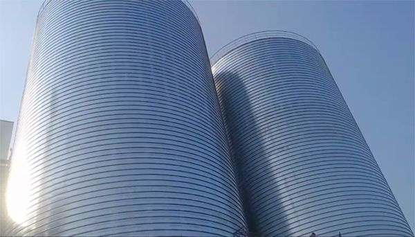 丹凤2座混凝土高架卷板仓